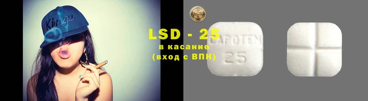 гидропоника Алзамай
