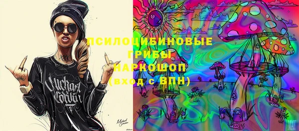 гидропоника Алзамай